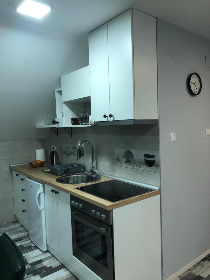 Apartmani Joma Bajina Basta Zewnętrze zdjęcie
